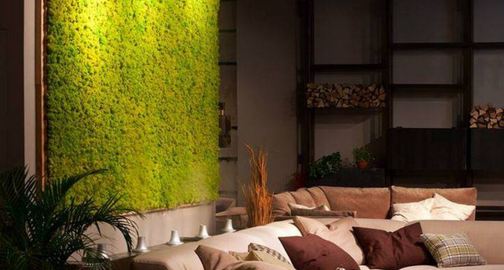 greenmoss24.ru