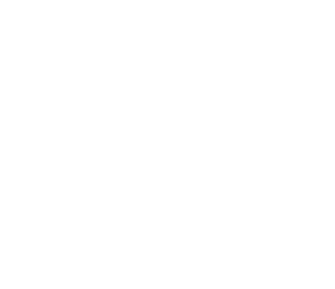 АВТОРЕШЕНИЕ