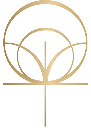  Архитектура красоты 