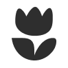 website icon