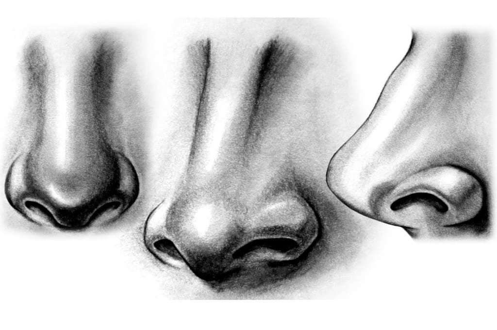 Как нарисовать нос шаг за шагом
