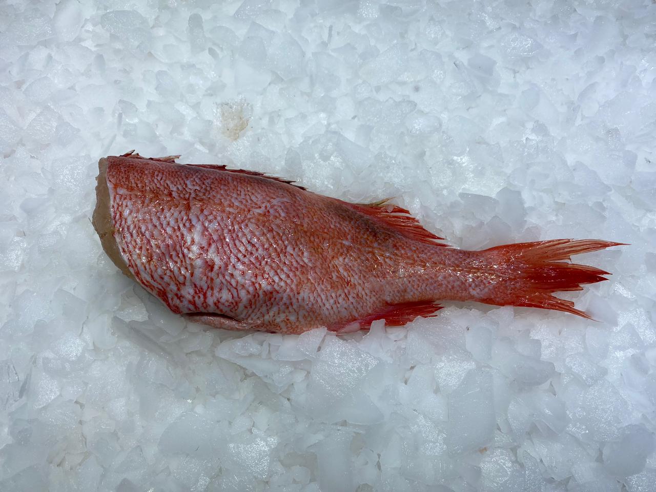 под кожей морского окуня