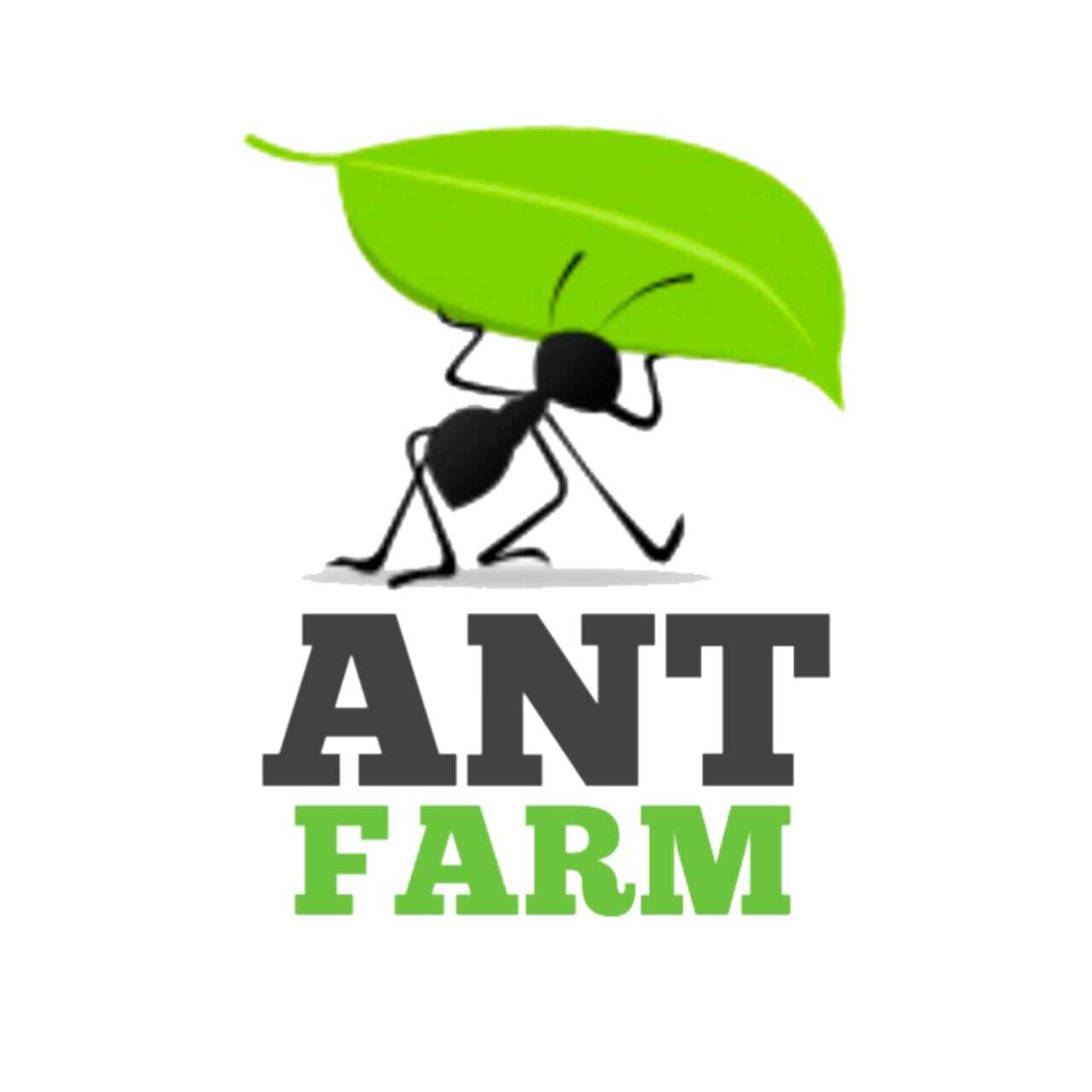 ANT-FARM