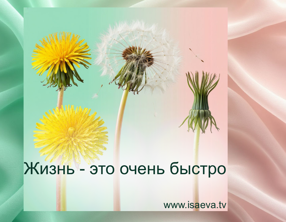 Жизнь - это очень быстро