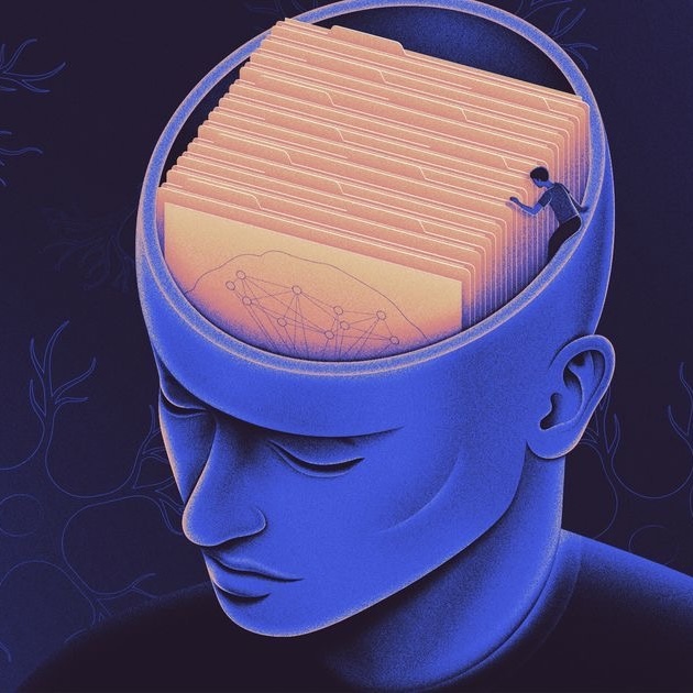 Как открыть снимки МРТ (или КТ) головного мозга на компьютере