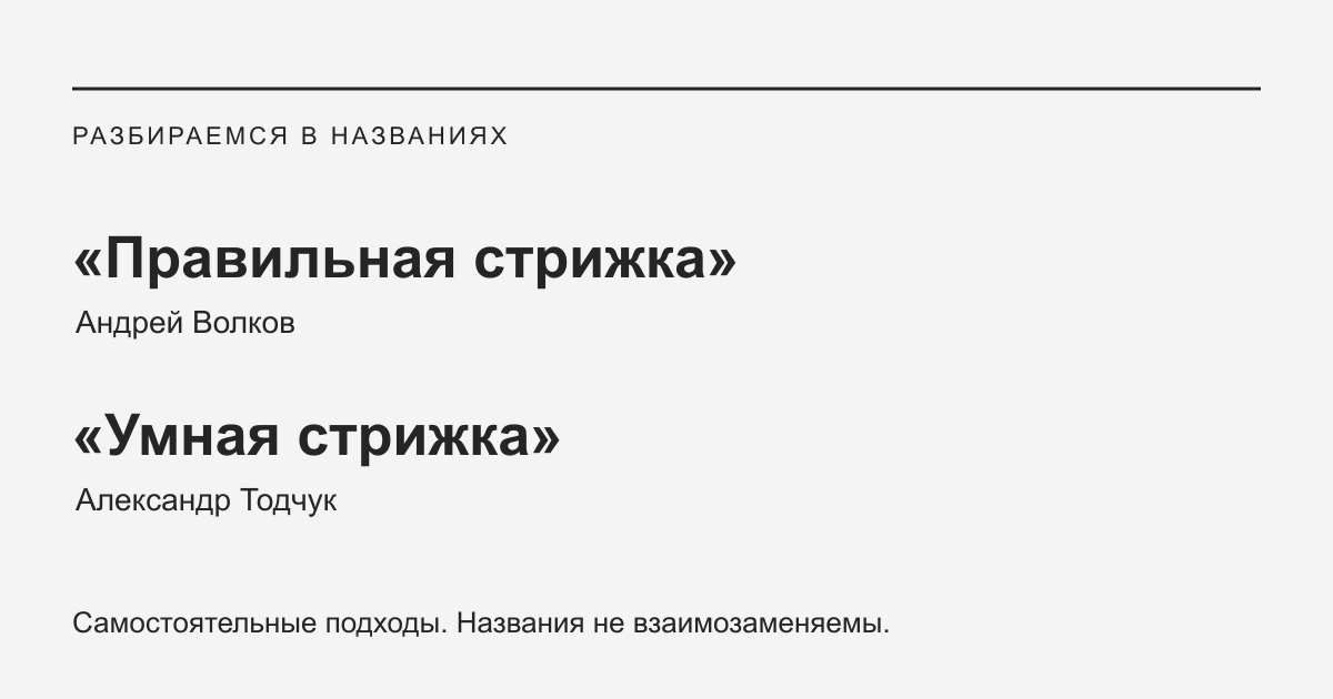Правильная стрижка Андрея Волкова и Умная стрижка Александра Тодчука — разные авторские подходы