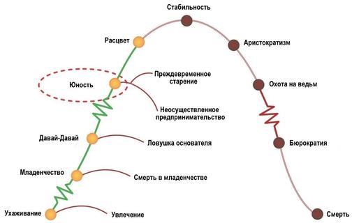 Каким номером на рисунке обозначена стадия жизненного цикла которая появляется при прорастании споры