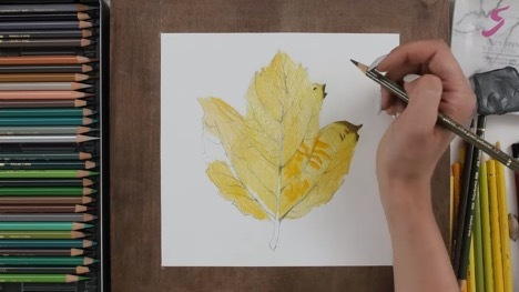 нарисовать листья