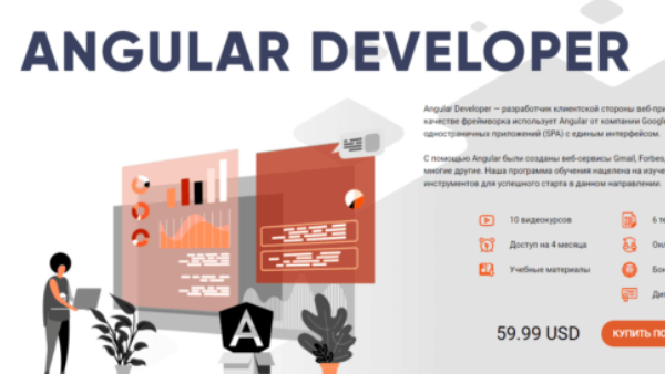 angular developer