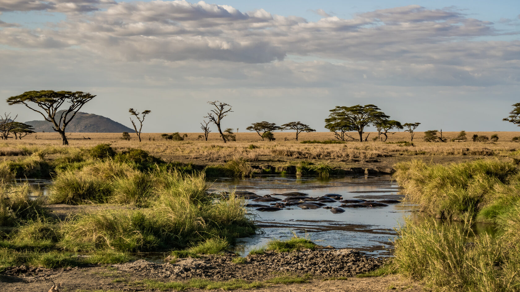 национальные парки танзании
