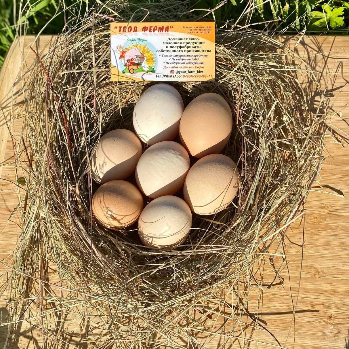 Агрофирма закупает куриные яйца 30 50 42. Яйца куриные лето. Яйца куриные в траве. Какие бывают яйца куриные.