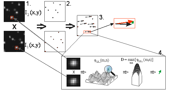 Идентификация перемещения отдельных частиц с последующей поправкой смещения кросскорреляционным алгоритмом