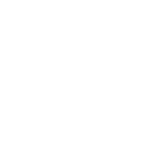 website icon