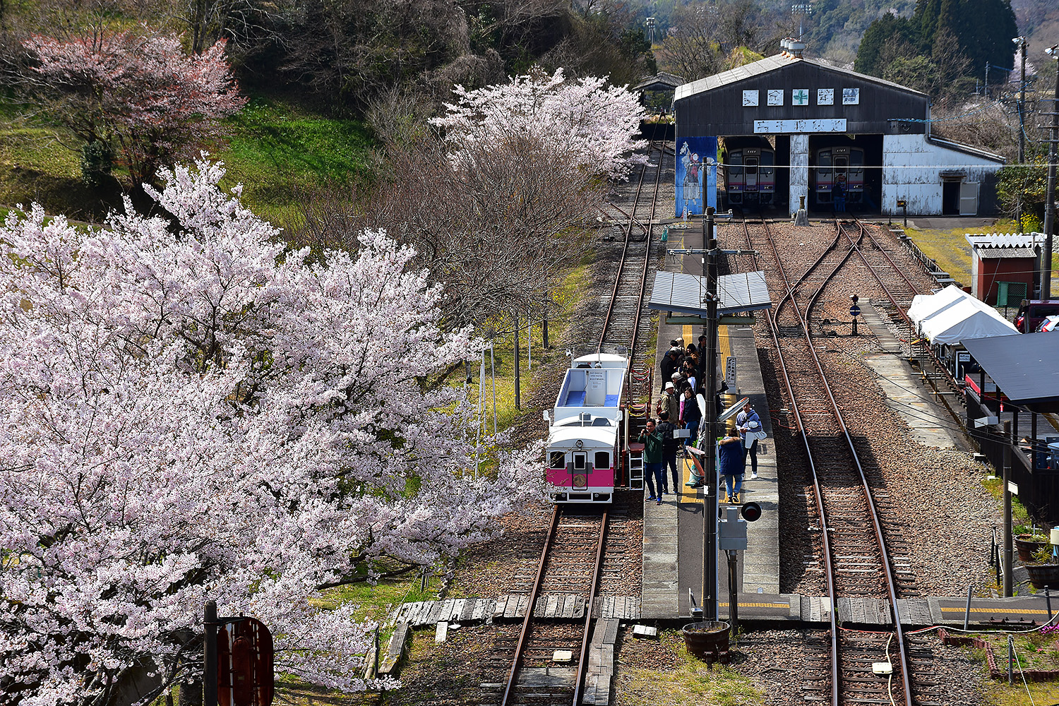 Japanese adventure