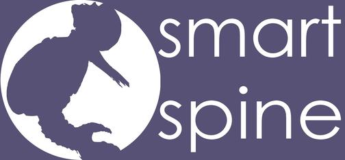 smartspine.su