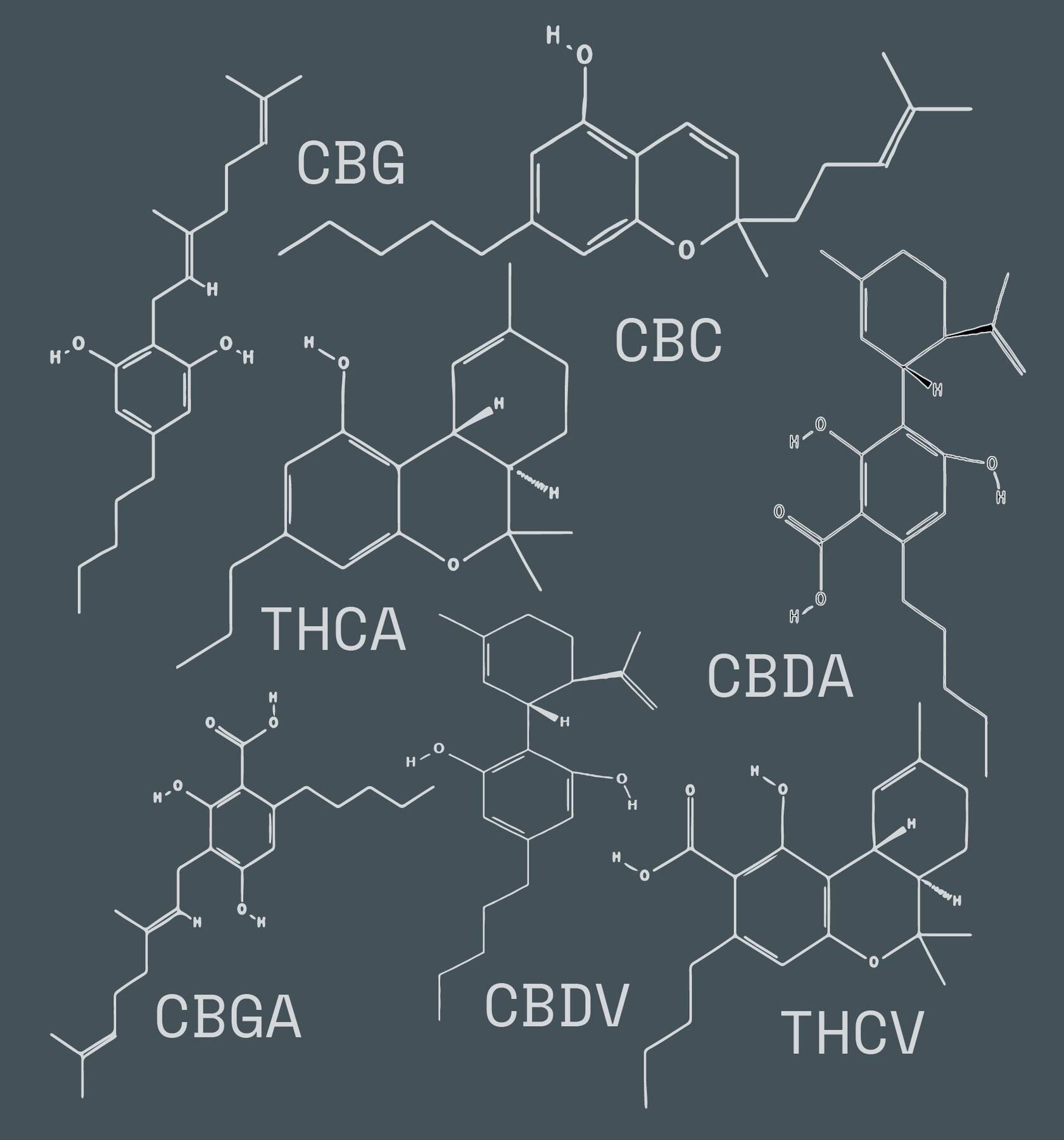 Definition Of Cannabinoids And Their Health Benefits