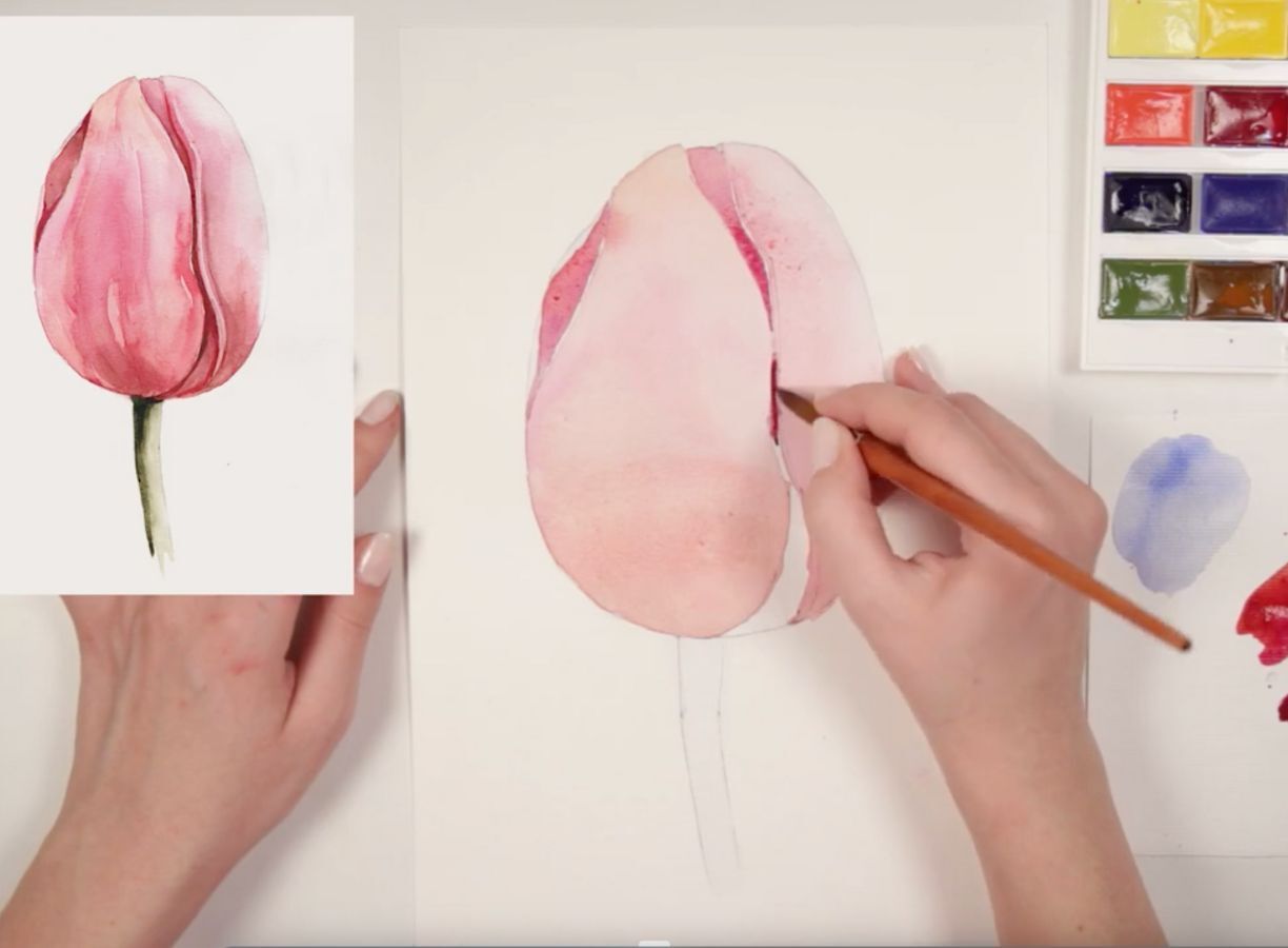 how to draw a tulip realistic