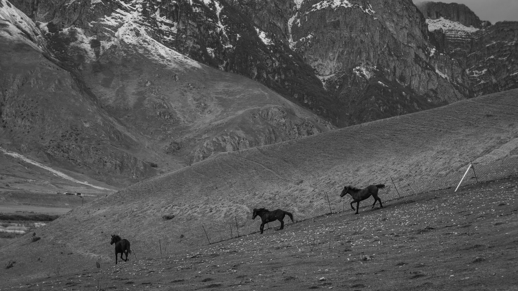 Лошади осетия. Северная Осетия конный туризм. Северная Осетия прогулки на лошадях. Мидаграбинская Долина с лошадьми. Верхом по Осетии.