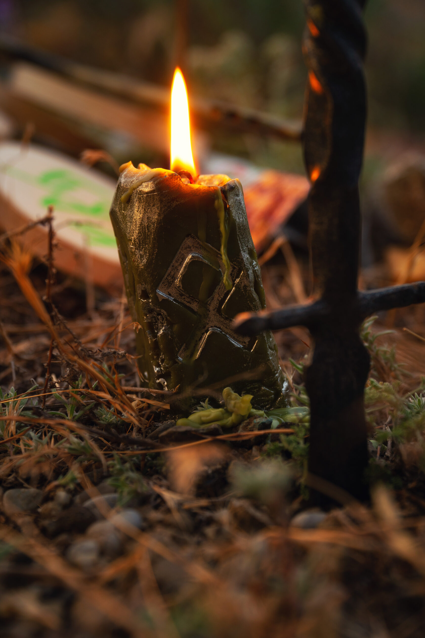 Фотограф Ян Севальнев