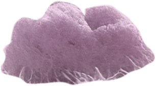 Космическое сафари на планету Эрикте. Веб-дизайнер Диана Шакерова