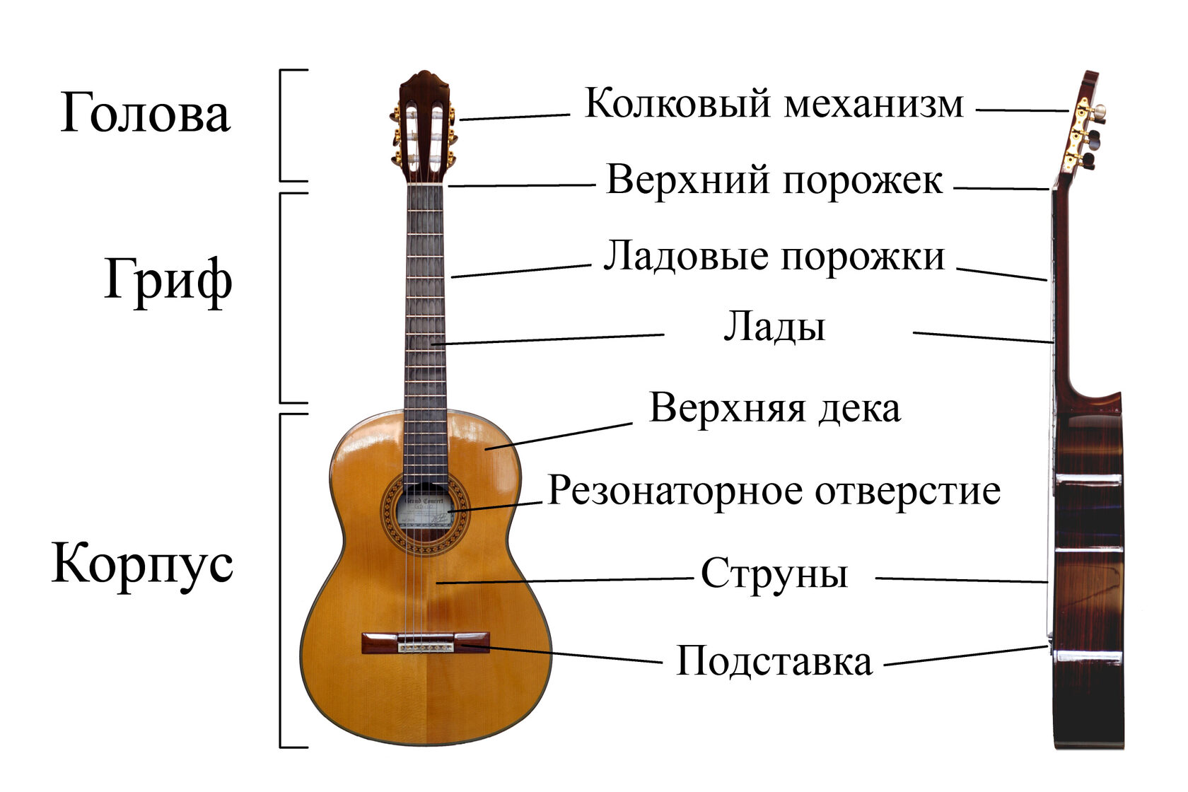 Акустическая гитара схема