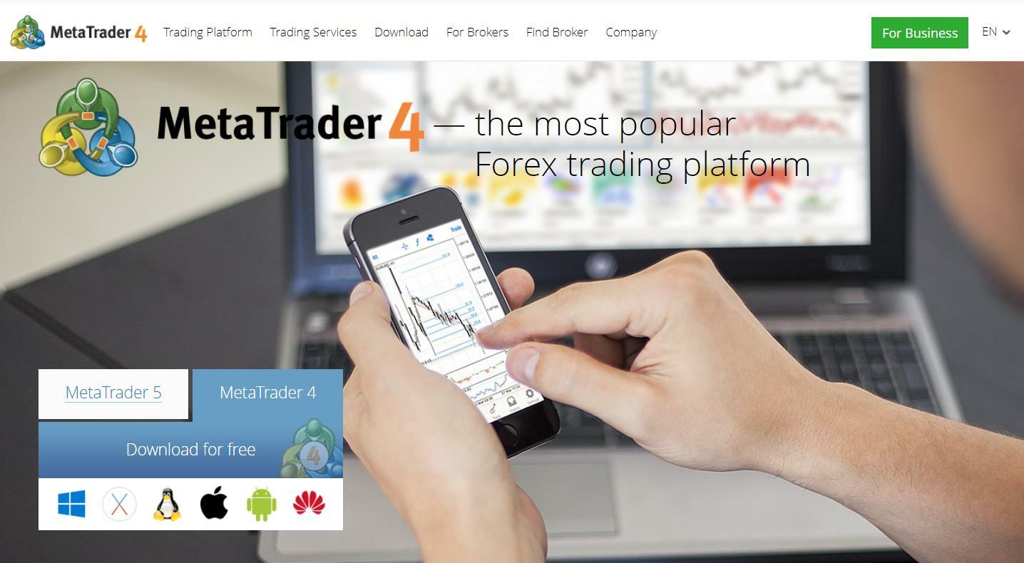Home page of copy trading MT4 platform