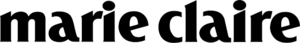 website icon