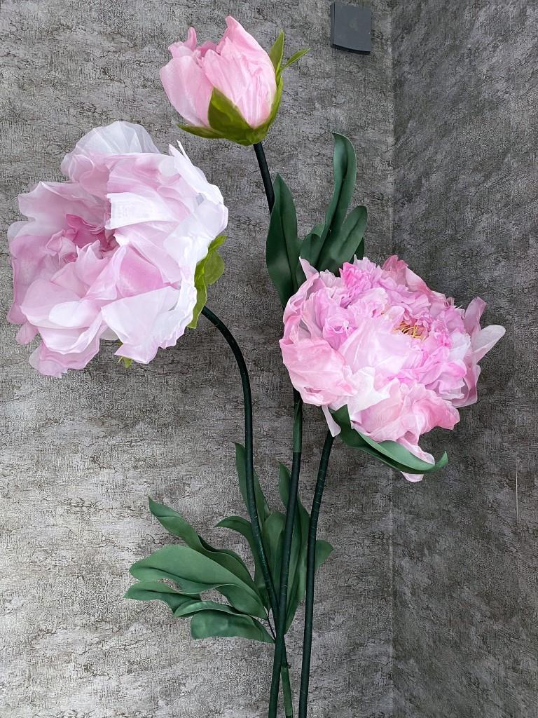 витринистика