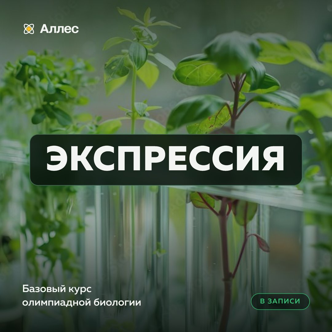 Экспрессия — базовый курс олимпиадной биологии