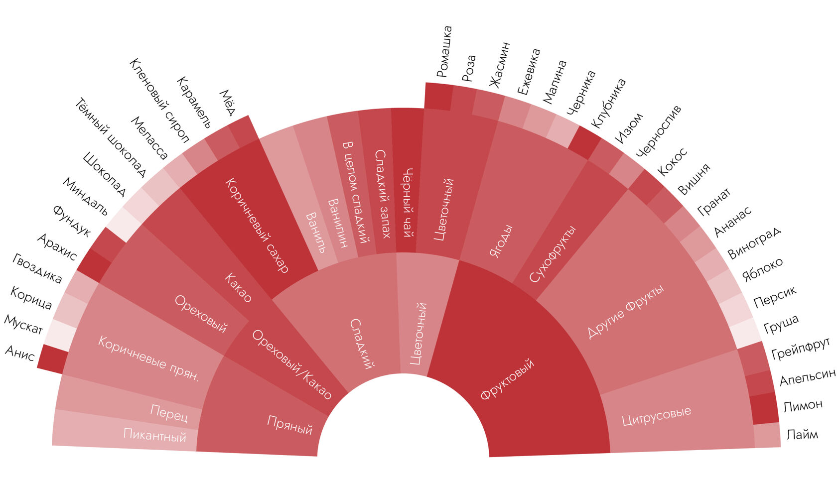 Колесо вкусов