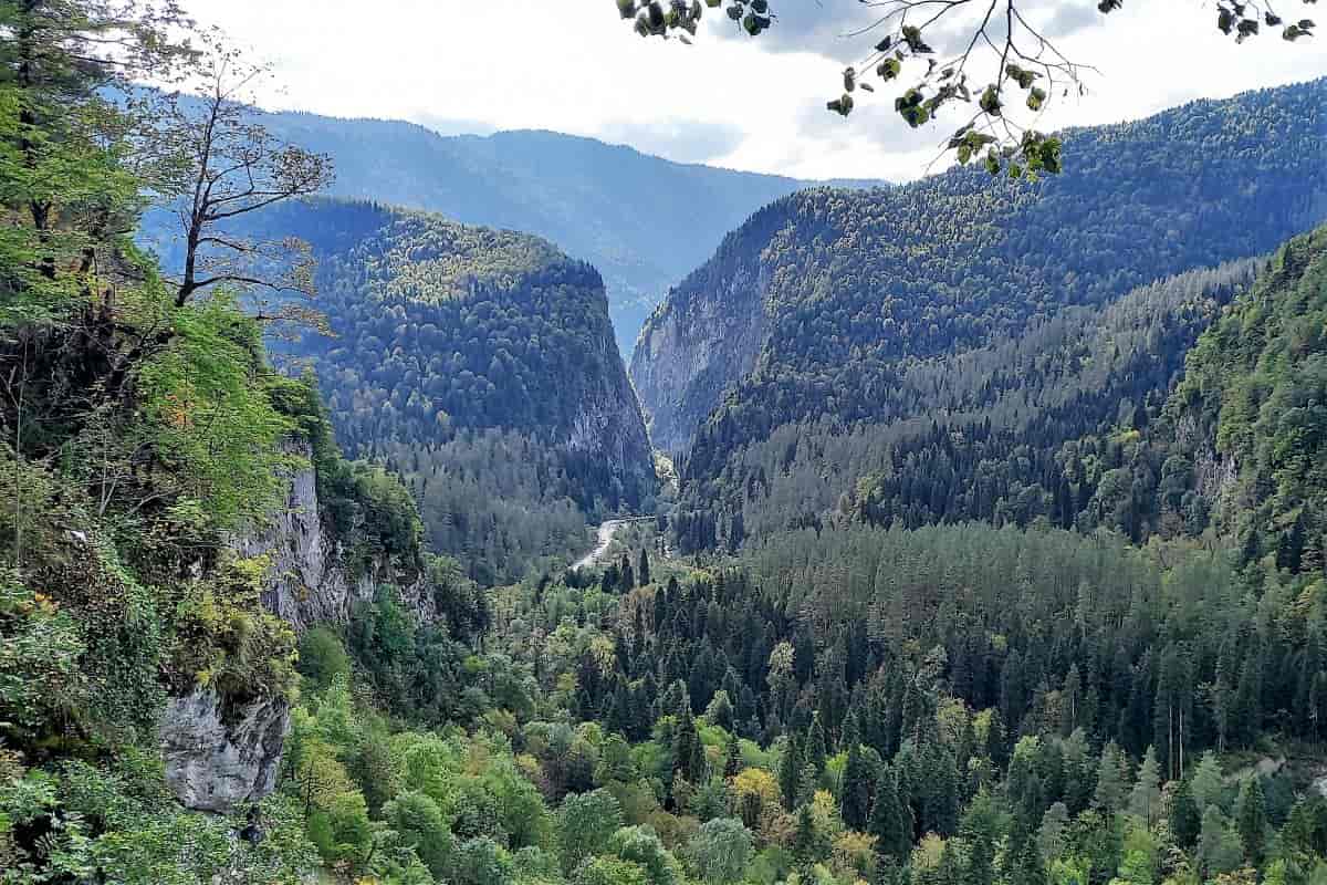 Реликтовый национальный парк Абхазия