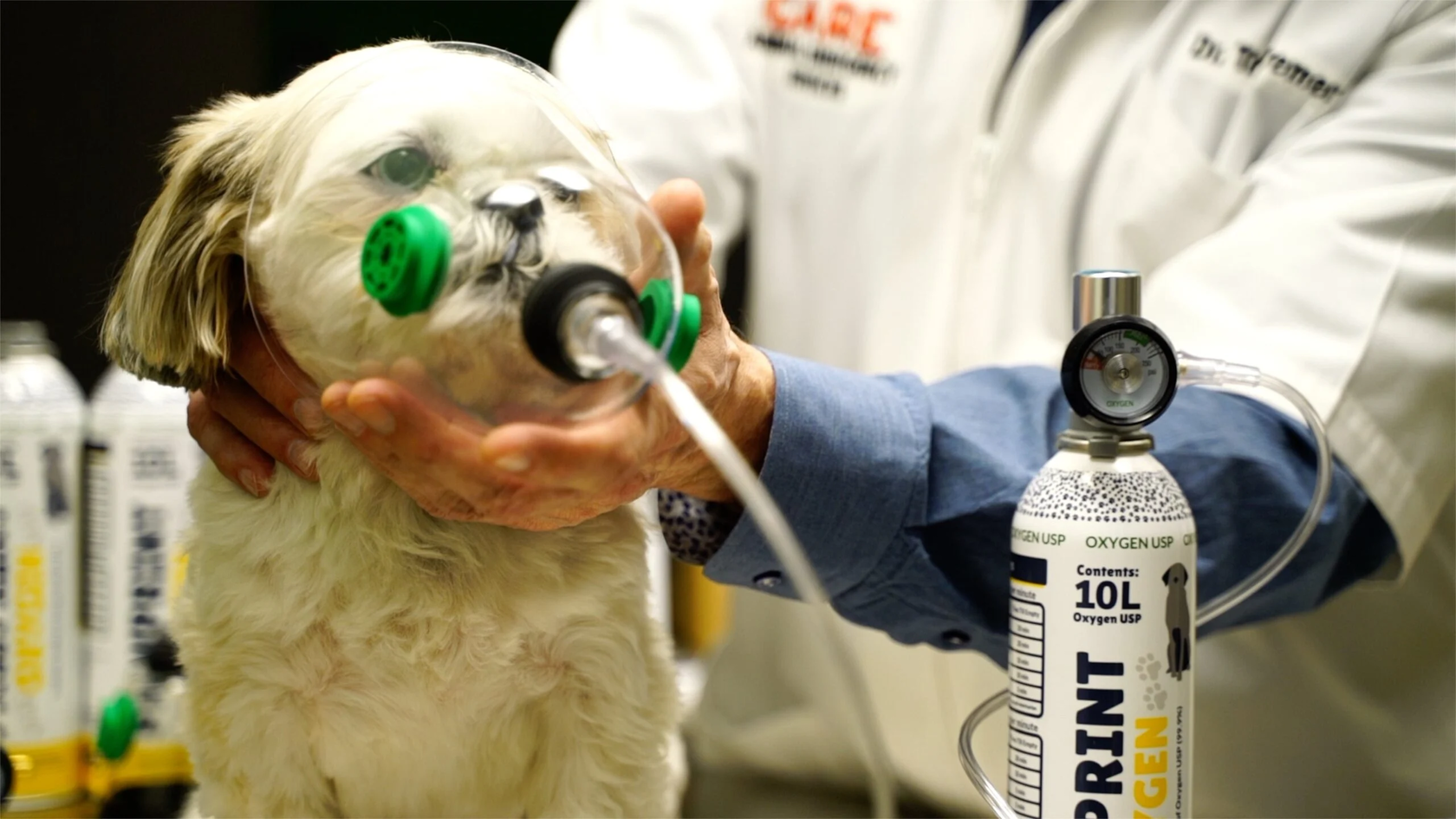 Кислородные ингаляции для животных