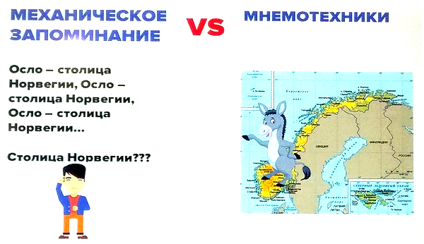 Elearning Elements, Елена Тихомирова, elc, Екатерина Онокой