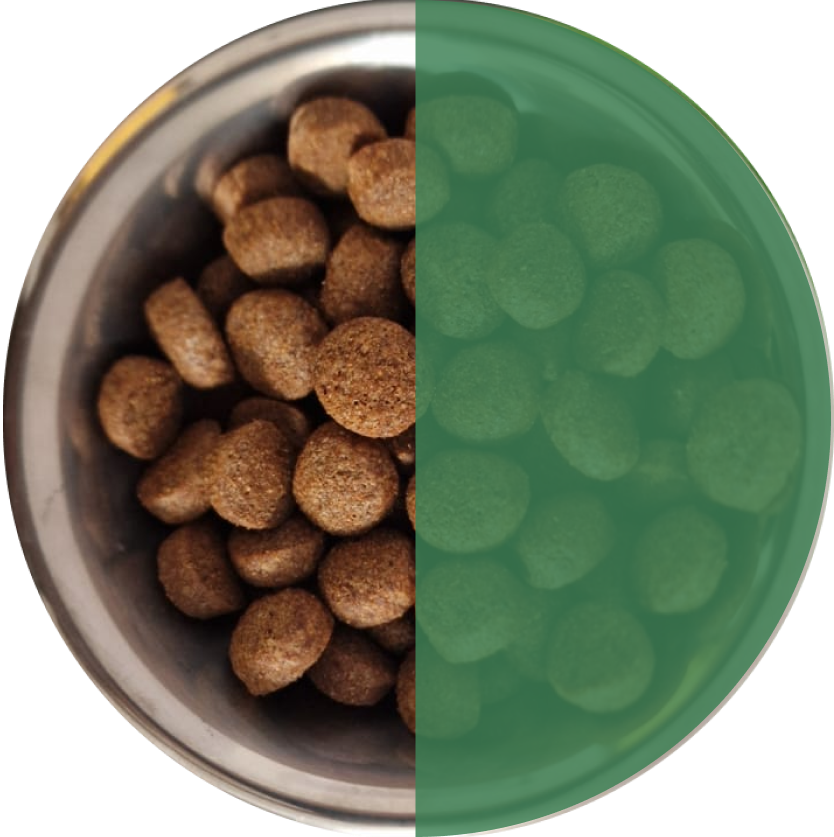 Правила перехода на сухой корм Frais 3-4 день 