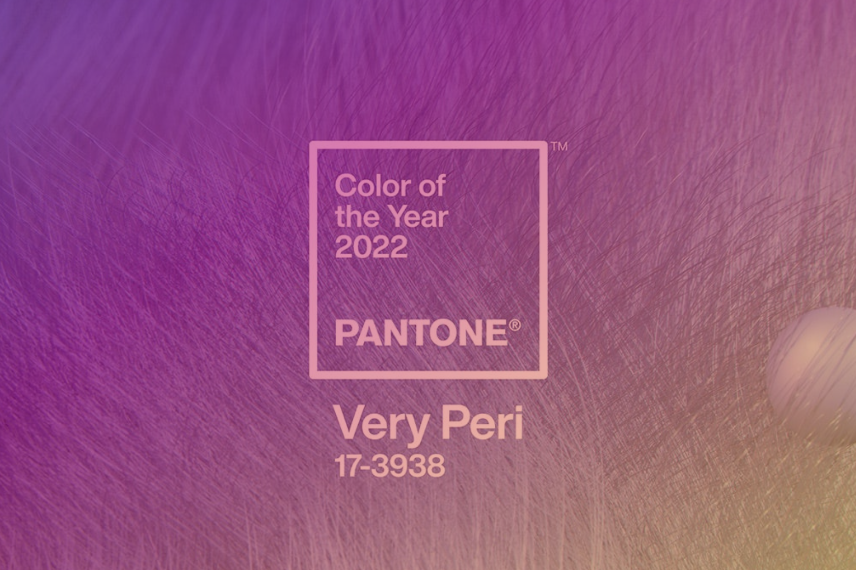 Цветом 2022 года объявлен показывающий беззаботную уверенность и смелое любопытство, которые оживляют наш творческий дух, любознательный и интригующий PANTONE 17-3938 Very Peri. Мы живем в эпоху перемен. PANTONE 17-3938 Very Peri - это символ глобального