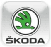 Выкуп skoda в Перми