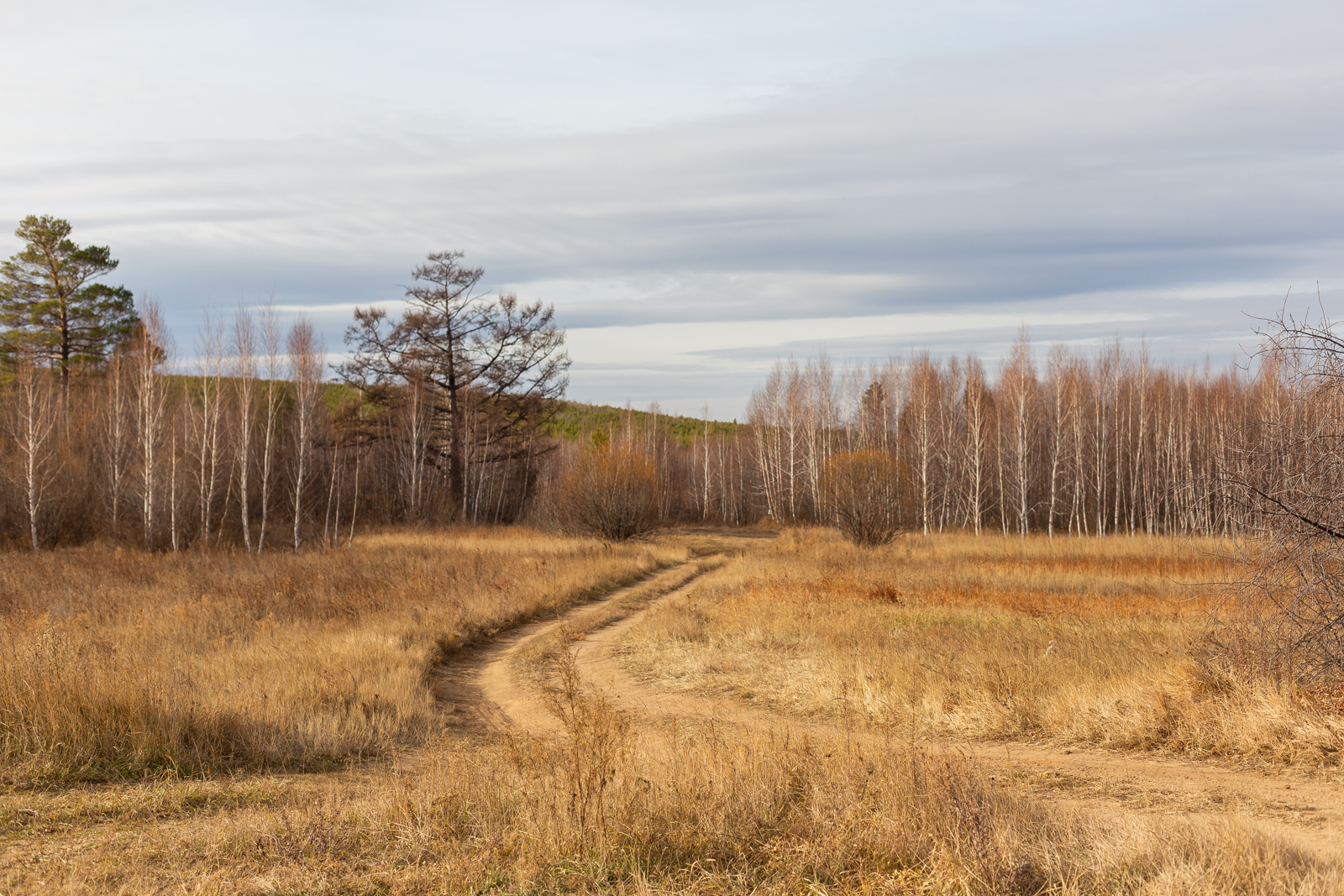 Село каково