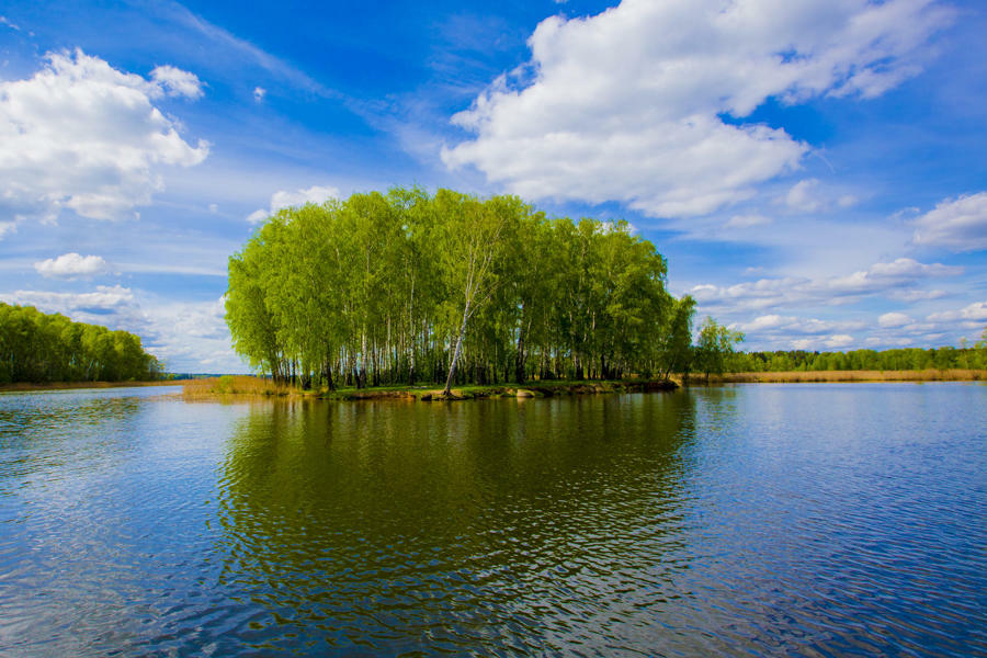 Икшинское водохранилище фото