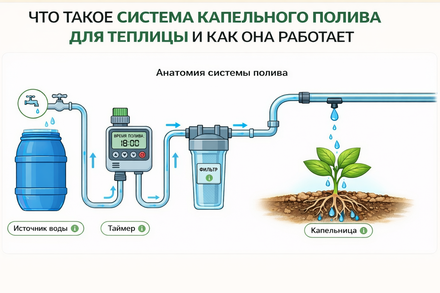 Схема устройства системы капельного полива в теплице с основными узлами