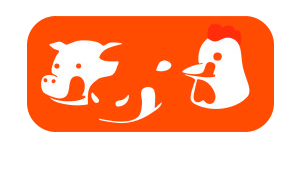 Тверской комбикорм. 4 Лапы логотип. Тверь-корм. Магазин Тверь корм.