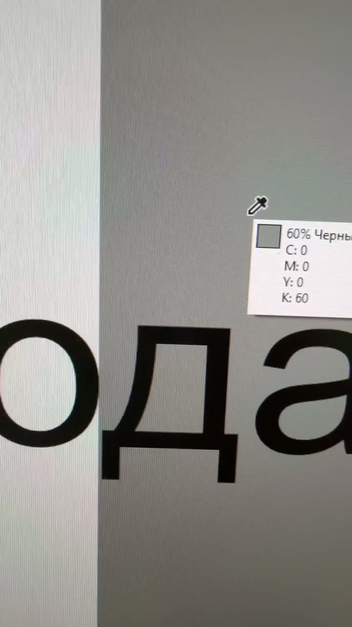 Макет на мониторе: ровная серая заливка, в палитре C0 M0 Y0 K60