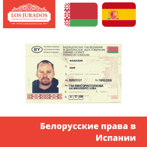 Новые международные водительские права начнут выдавать в Беларуси с 22 сентября