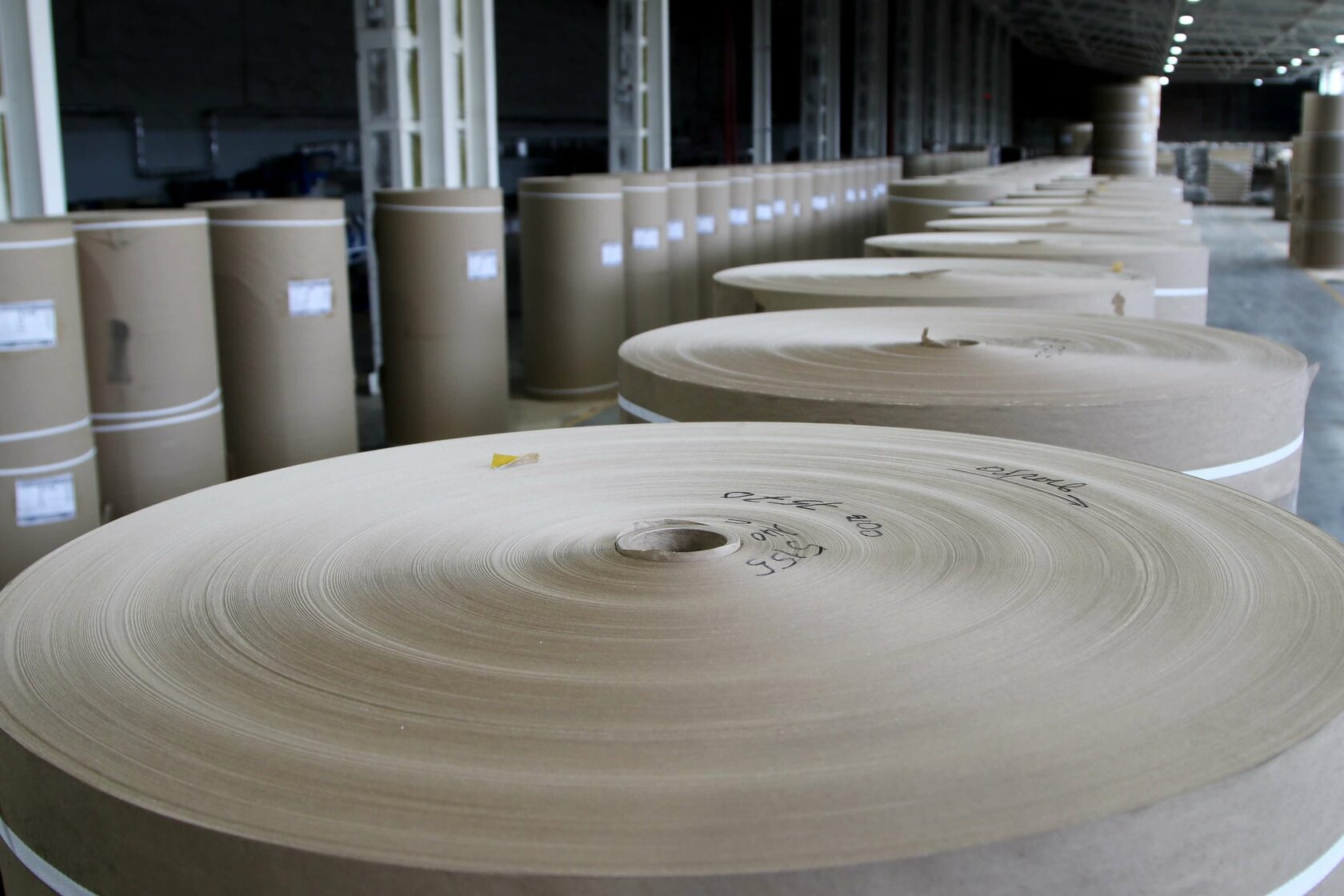 Кузбасский Скарабей