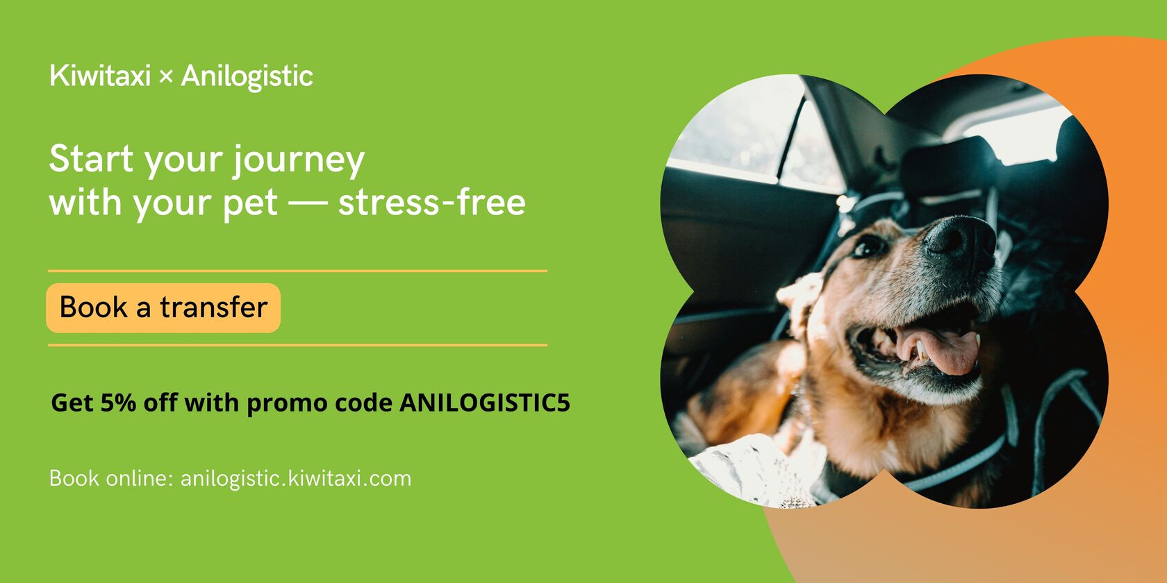 transfer with dog and cats for/to airport