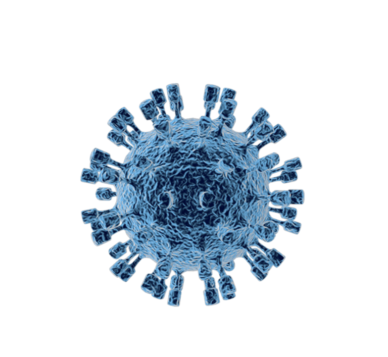 Что такое вирусные инфекции. Как улучшить иммунитет при частых ...