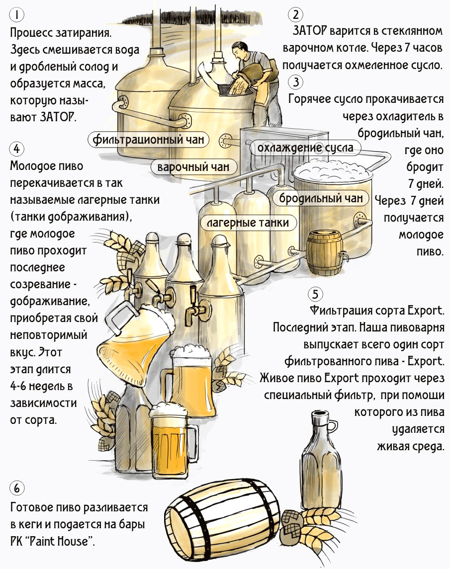 Этапы пивоварения схема