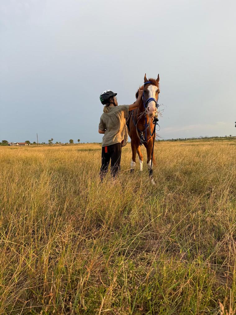 Horse standing in open grassland at Vonfidel Ranch while a rider gently adjusts its bridle during the golden evening light.