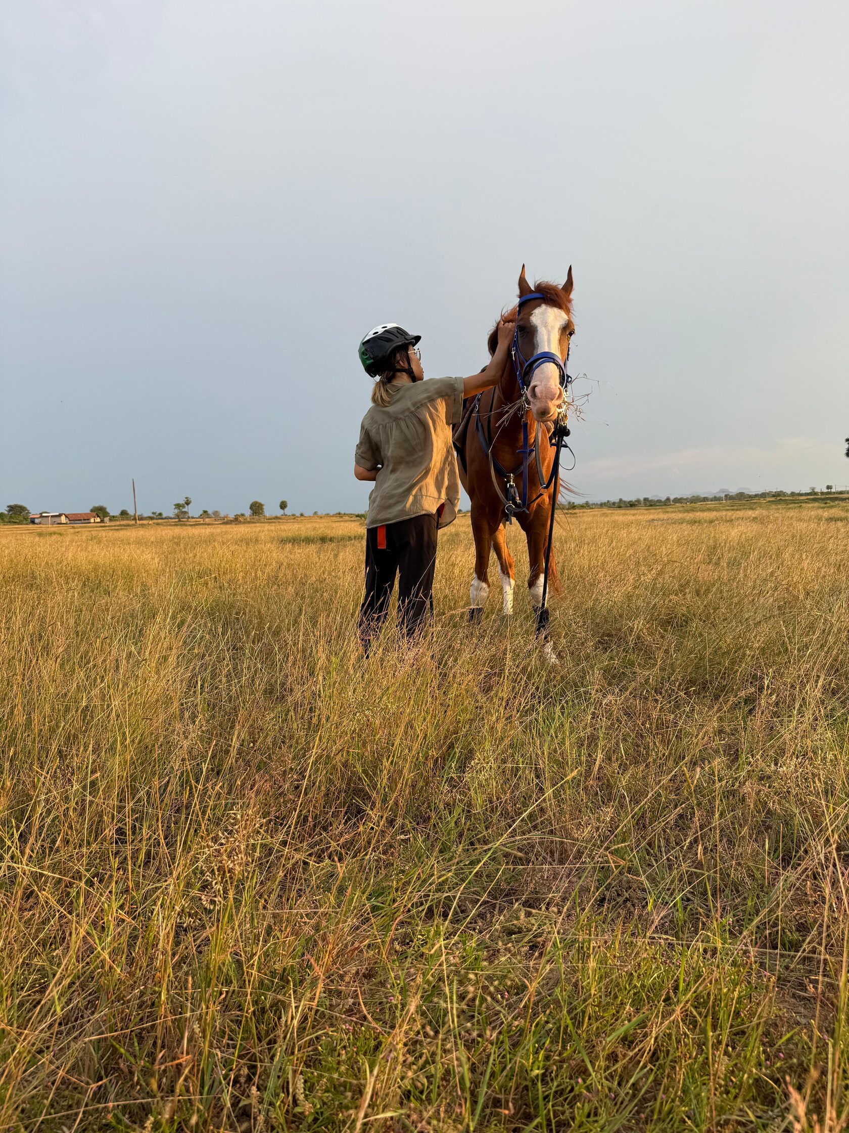 Horse standing in open grassland at Vonfidel Ranch while a rider gently adjusts its bridle during the golden evening light.