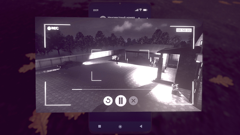 Visual novel in Last wish