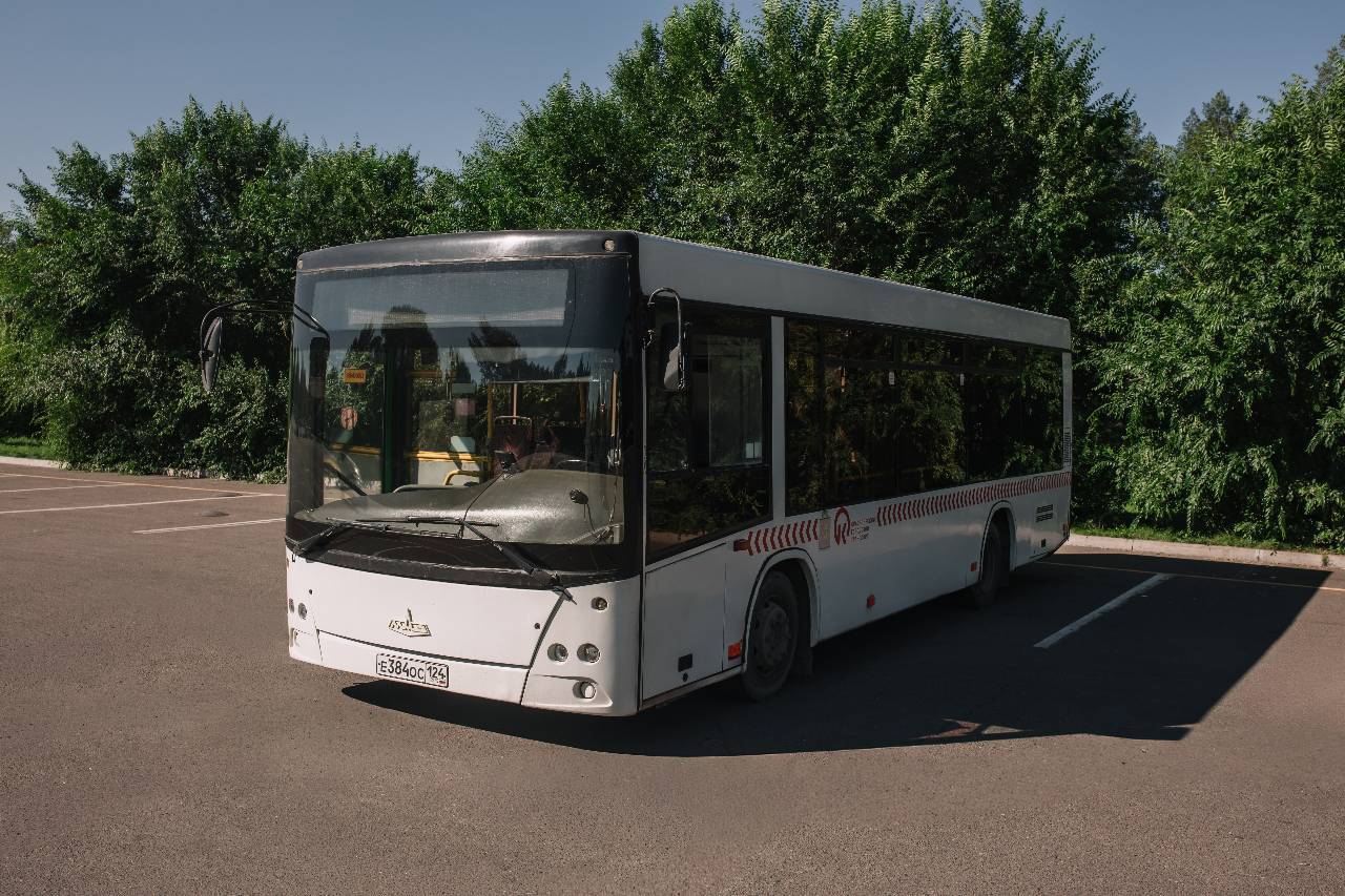 МАЗ 206 5